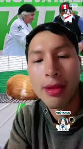 Kuri, la nueva raza de #cuy para el Perú #greenscreen