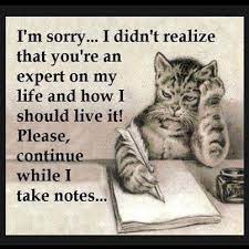 Darling chase your goal, not me. 28 Mind Your Own Business Ideas Minding Your Own Business Me Quotes Words