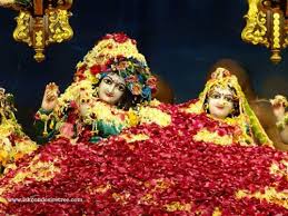 Pushpa abhisheka means a ceremony to. Pushpa Abhishek Showering Of Flower Petals On The Deities Of Radha Gopinath At Iskcon Chowpatty Blog Iskcon Desire Tree Idt