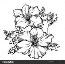 Vector Flores Dibujo Flor Flores Exoticas Detallada Mano Ilustracion Vectorial Flores Exoticas Dibujos
