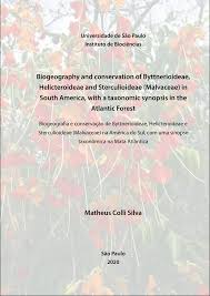 Image result for Malvaceae: Byttnerioideae, Helicteroideae