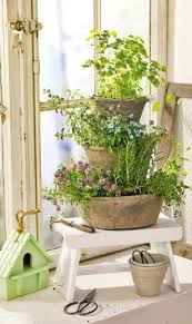 Krautergarten Fur Die Fensterbank Krautergarten Drinnen Zimmerpflanzen Dekor Und Bluhende Pflanzen