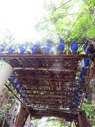 Repurposed items for the garden add a personal touch to your outdoor space, as well as provide functional support. April 2014 Meredith Davis Mattress Springs Old Mattress Garden Boxes