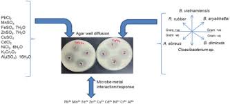 Landfills listed as lined were operating lined cells at the time publication, but may also have unlined inactive areas. Characterization Of Induced Metal Responses Of Bacteria Isolates From Active Non Sanitary Landfill In Malaysia Sciencedirect