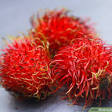 Rambutan