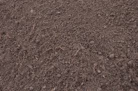 Si te encanta meter las manos en la masa, puedes hacer tu propia mezcla casera para suculentas. Como Hacer Un Sustrato Para Cactus Jardineria On