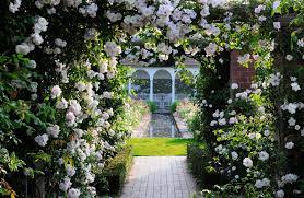 11 Amazing Professional Garden Photographs Beautiful Home Gardens Most Beautiful Gardens Beautiful Gardens