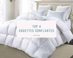 L'eider est une espèce protégée. Top 4 Couettes Gonflantes Optez Pour Une Couette Ultra Gonflante