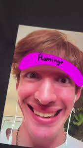 Bay baby caks xoxoxoxooox@albert #albert #flamingo #albertfantrau  #flamingopose #albertfingernoodle #albertstalk #lolguy #funnyedits  #flamingowastaken #flamingofacereveal #bigboyedits #manface ...