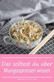Mungobohnen Sprossen Ziehen So Einfach Geht S We Go Wild Mungobohnen Mungobohnen Rezept Lebensmittel Essen