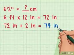 What is 5 feet 8 inches in centimeters? 3 Ways To Convert Inches To Centimeters Wikihow