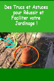 Pin On Astuces De Jardinage