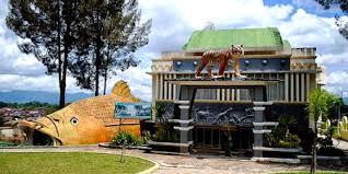 Taman margasatwa dan budaya kinantan. Tiket Masuk Kinantan Zoo Bukittinggi Kebun Binatang Kinantan Bukittinggi Untuk Harga Tiket Wahana Yang Belum Dijelaskan Bisa Karena Gratis Ataupun Belum Ada Update Harga Terbaru 100pips A Day