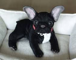 Black And White Bulldog Stuffed Animal French Bulldog Puppy 8 6 In Stuffed Black Bulldog Art Doll Etsy In 2020 Realistic Stuffed Animals Soft Sculpture Art Soft Sculpture