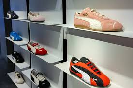 Image result for Pacific Green 2001 Puma