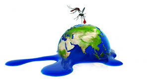 A pest called tuta the monthly rainfall pattern, which matters the most to a farmer, suggests that after heavy rains in june (4 per climate change stands poised to change average temperatures and circulation patterns in the. Climate Change Alters Disease Pattern