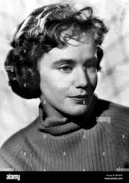 Schell hi-res stock photography and images