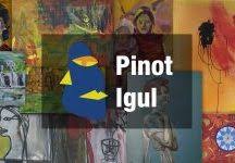 home Page - Pinot Igul
