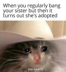 F#m d to the place i belong: Country Roads Take Me Home Steele Memes Melt Dank Beams Facebook