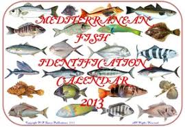 Fish Calendars Keyrings Tide Tables Fish Charts And Guides