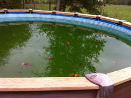 Que Faire Quand Eau Piscine Verte Lokace Fr