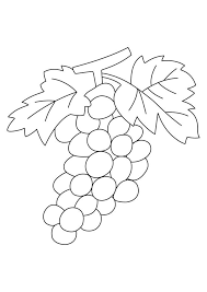 Demandez Le Catalogue 10 Doigts Coloriage Fruits Dessin Fruits Coloriage Fleur