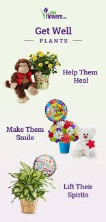 I got the news of your sickness and got you some flowers to make your happier and healthier again. 44 Get Well Flowers Gifts Ideas Get Well Flowers Get Well Gifts Flower Arrangements