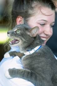 Oil refinery fire and other local photos