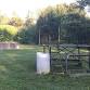 Shotgun Sunday – Trap Shooting event image