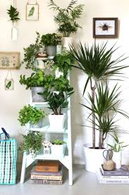 We did not find results for: 50 Plant Stand Design For Indoor Houseplant Rengusuk Com Indoor Plant Shelves Vertical Garden Indoor Tall Plant Stand Indoor