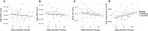 frontiers aerobic exercise intervention cognitive