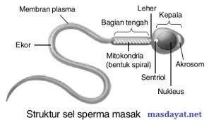 X = a° + k. Kejarcita 1 Bank Soal Sekolah
