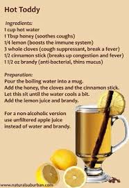 Hot Toddy Natural Cold Remedies Cold Remedies Home Remedy For Cough