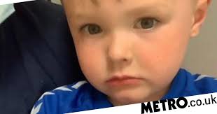 Liverpool: Boy, 3, mauled by dog in playground and left with 'flesh hanging  off arm'
