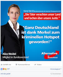 Lebt alice weidel in einer familie? Das Ist Die Neue Afd Spitzenkandidatin Alice Weidel