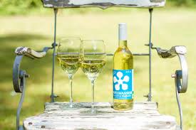 Ein Glas Kaltes Havelwasser Geniessen Sommer Garten Party Havelwasser Birne Wein Birne Wein Getranke