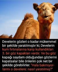 hedef 2023 adli kullanicinin ayet panosundaki pin biliyor muydunuz guzel soz ozlu sozler