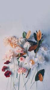 50 Kaunis Kukka Taustakuvia Iphone Free Download In 2020 Flower Wallpaper Landscape Wallpaper Colorful Wallpaper
