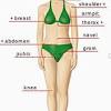 You likely have some kind of irregularity regardless of your body type. 1