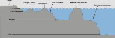 Cara mengetahui tempat ikan nila berkumpul. Cara Mengetahui Tempat Yang Banyak Ikan Spotmancing Com