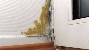 Eine frist oder abmahnung offensichtlich keinen erfolg verspricht, 2. Kundigungsrecht Bei Schadstoffbelastung Wohnen