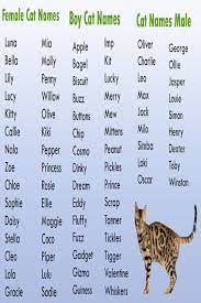 Check spelling or type a new query. Cat Names Cat Names Cute Cat Names Girl Cat Names