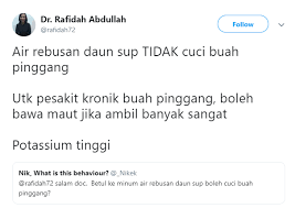 Daun ini kerap digunakan sebagai perangsang selera dan kerap digunakan sebagai bahan akhir setiap masakan. Inilah Khasiat Daun Sup Yang Kita Sendiri Tak Sedar