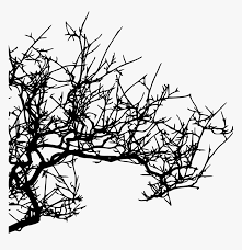 In this video show you about drawing in difference pictures. Tree Branches Png For Kids Tree Branch Png Hd Texture Transparent Png Transparent Png Image Pngitem