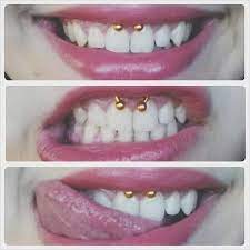Imagem Discovered By Dreamer Discover And Save Your Own Images And Videos On We Heart It Mouth Piercings Smiley Piercing Piercing