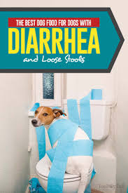 We'll get to that later. The Best Dog Food For Dogs With Diarrhea And Loose Stools