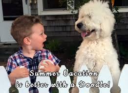 We interview all of our families. Goldendoodle Puppies And Cockapoo Puppies In Virginia By Carriage House Premium Goldendoodle Breeder