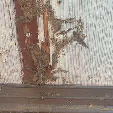 1800 675 888 exotic plant pest hotline: Francis Animal And Pest Control Columbus Oh
