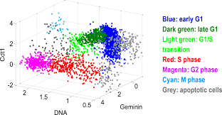 We've developed a suite of premium outlook features for people with advanced email and calendar needs. Size Uniformity Of Animal Cells Is Actively Maintained By A P38 Mapk Dependent Regulation Of G1 Length Elife