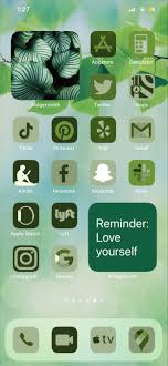Give yourself this pleasant feeling. Ios 14 App Icons Green Aesthetic App Icon Custom App Icons Aesthetic App